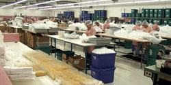 Наш объект в С.Ш.А.