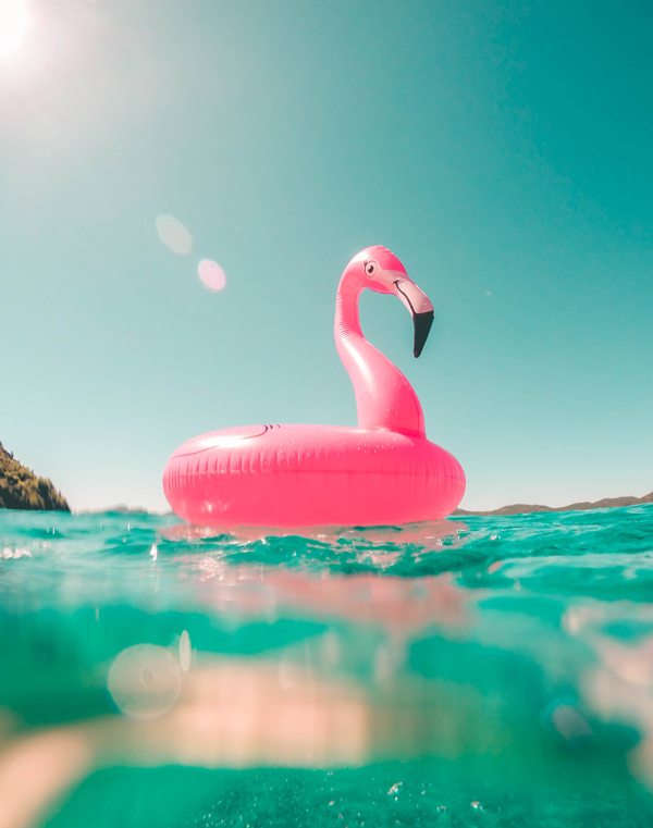 5: © Vicko Mozara, @vicko / Unsplash Summer Jewelry 2018: Flamingos and Beach Theme